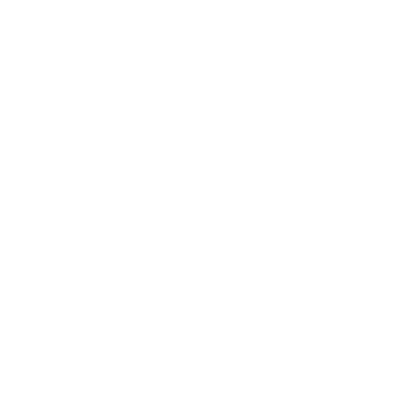 WNC Chimney